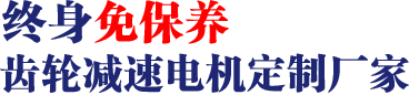 17年專注齒輪減速馬達、調速電機研發(fā)、生產(chǎn)